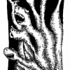 hydre